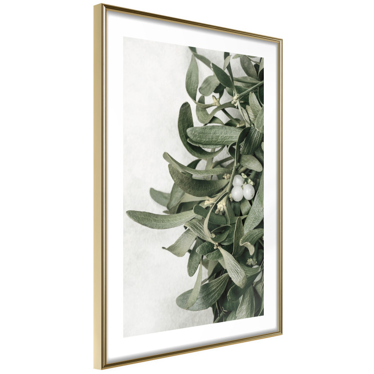 Wall Poster Christmas Holly - plant related to Christmas 137973 additionalImage 21
