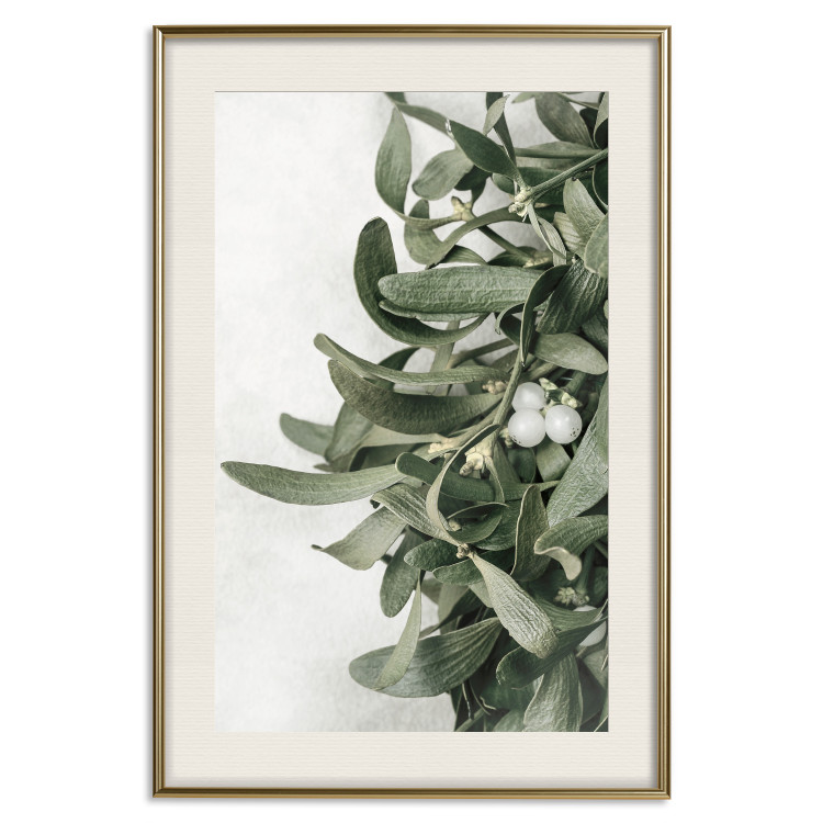 Wall Poster Christmas Holly - plant related to Christmas 137973 additionalImage 2