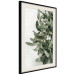 Wall Poster Christmas Holly - plant related to Christmas 137973 additionalThumb 20