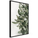 Wall Poster Christmas Holly - plant related to Christmas 137973 additionalThumb 16