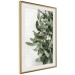 Wall Poster Christmas Holly - plant related to Christmas 137973 additionalThumb 19