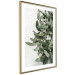 Wall Poster Christmas Holly - plant related to Christmas 137973 additionalThumb 14