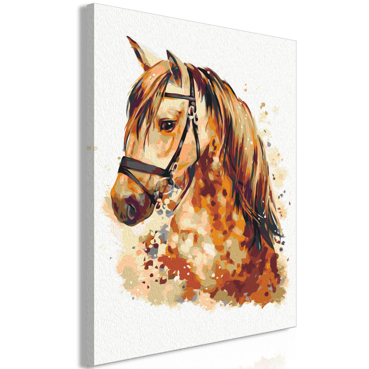 Paint by number Horse Portrait - Animal With a Beautiful Mane on a Gray Background 148873 additionalImage 6