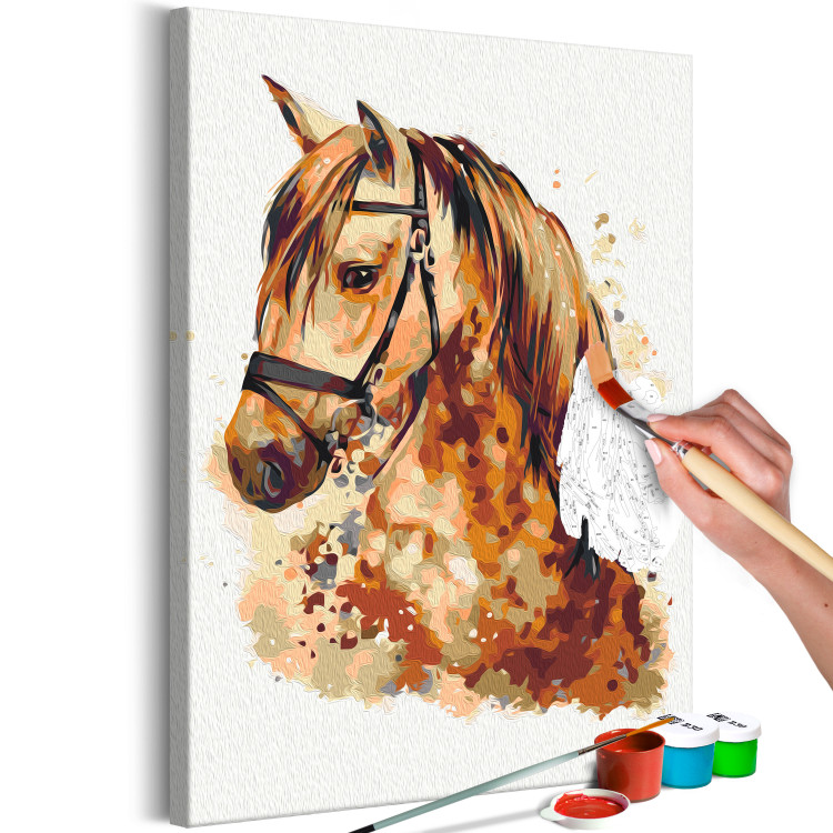 Paint by number Horse Portrait - Animal With a Beautiful Mane on a Gray Background 148873 additionalImage 5