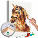 Paint by number Horse Portrait - Animal With a Beautiful Mane on a Gray Background 148873