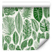 Modern Wallpaper Green Nature - Different Species and Sizes of Leaves on a White Background 149873 additionalThumb 6