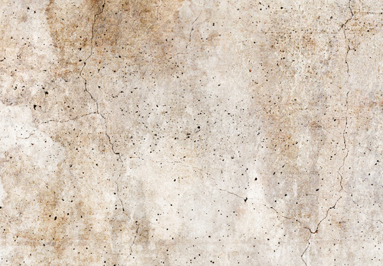 Canvas Rust Texture - Textural Abstraction in Shades of Pastel Brown 151773 additionalImage 5