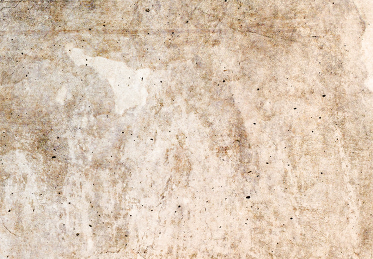 Canvas Rust Texture - Textural Abstraction in Shades of Pastel Brown 151773 additionalImage 4