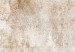 Canvas Rust Texture - Textural Abstraction in Shades of Pastel Brown 151773 additionalThumb 5