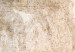 Canvas Rust Texture - Textural Abstraction in Shades of Pastel Brown 151773 additionalThumb 4