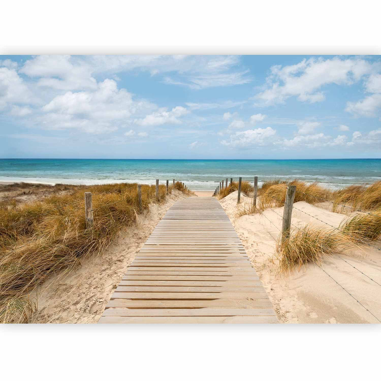 Wall Mural Vacation Landscape - Wooden Path Leading to the Tranquil Sea 61673 additionalImage 1