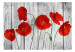 Wall Mural Tale of Red Poppies 69973 additionalThumb 1