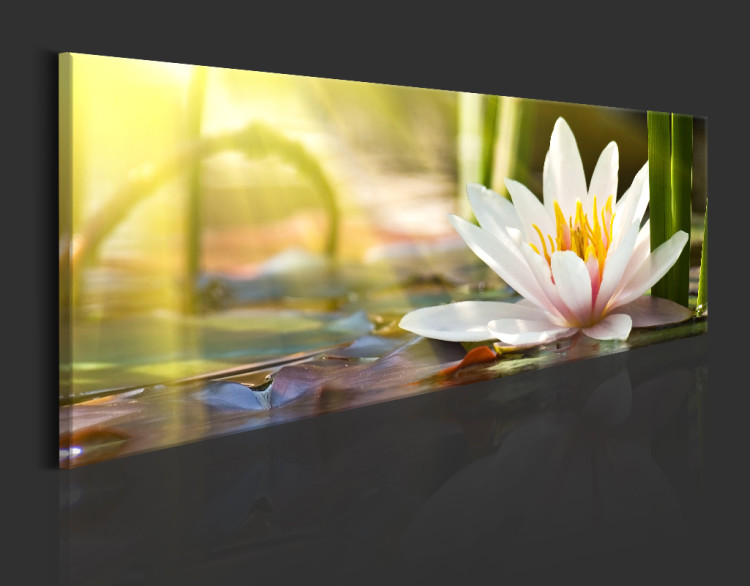 Print On Glass Lotus' Glow [Glass] 93173 additionalImage 5