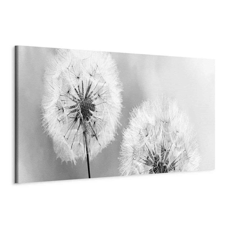 Canvas Summer Memories (1-piece) - Black and White Romantic Dandelions 106183 additionalImage 2