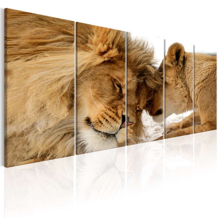 Canvas Lion Love (5-piece) - Romantic Kiss of Wild Cats 106583 additionalImage 2