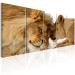 Canvas Lion Love (5-piece) - Romantic Kiss of Wild Cats 106583 additionalThumb 2
