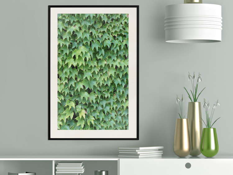 Wall Poster Dense Ivy - botanical composition filled with green leaves 121883 additionalImage 22