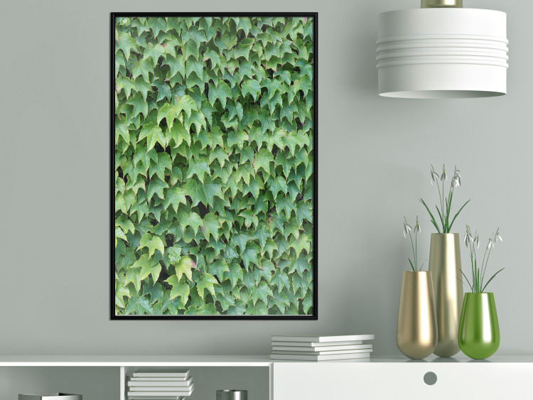 Wall Poster Dense Ivy - botanical composition filled with green leaves 121883 additionalImage 5