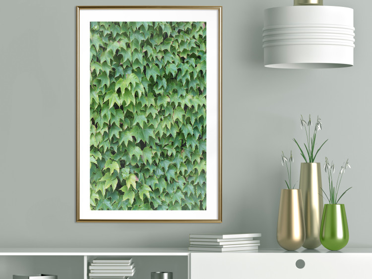 Wall Poster Dense Ivy - botanical composition filled with green leaves 121883 additionalImage 13