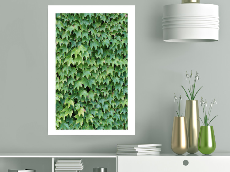 Wall Poster Dense Ivy - botanical composition filled with green leaves 121883 additionalImage 2