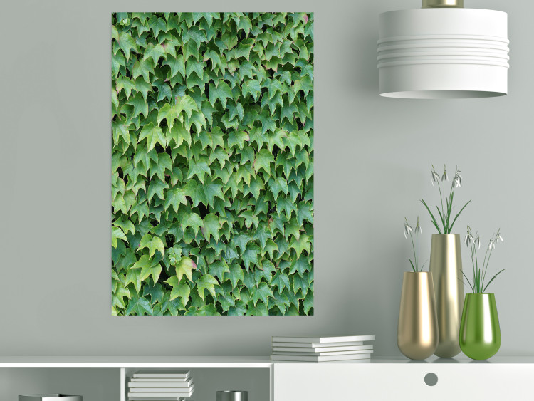 Wall Poster Dense Ivy - botanical composition filled with green leaves 121883 additionalImage 23