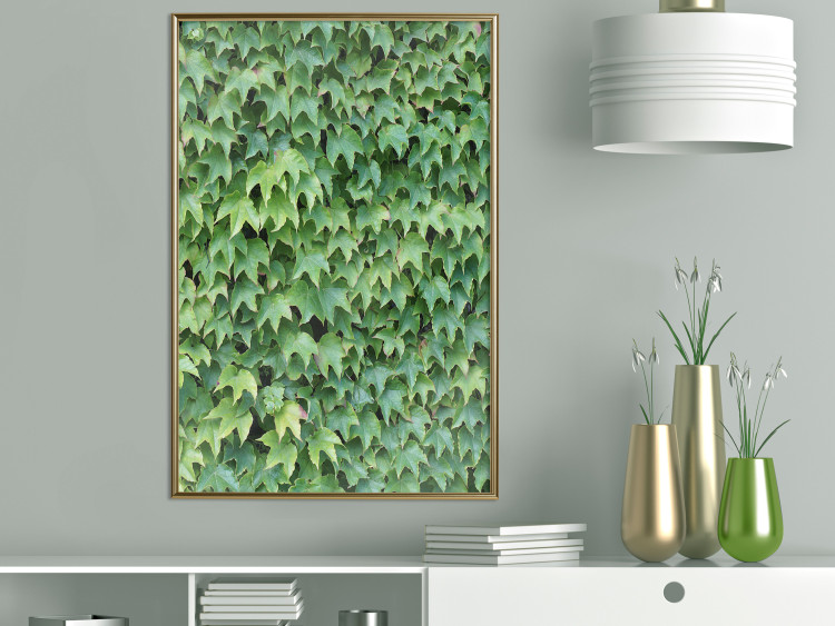 Wall Poster Dense Ivy - botanical composition filled with green leaves 121883 additionalImage 7