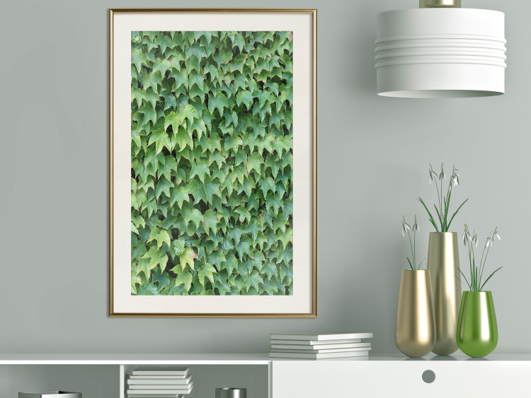 Wall Poster Dense Ivy - botanical composition filled with green leaves 121883 additionalImage 21