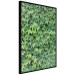 Set of wall art Living in the nature 124918 additionalThumb 4