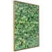 Wall Poster Dense Ivy - botanical composition filled with green leaves 121883 additionalThumb 14