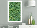 Wall Poster Dense Ivy - botanical composition filled with green leaves 121883 additionalThumb 2