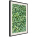 Wall Poster Dense Ivy - botanical composition filled with green leaves 121883 additionalThumb 3