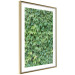 Wall Poster Dense Ivy - botanical composition filled with green leaves 121883 additionalThumb 8
