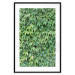 Wall Poster Dense Ivy - botanical composition filled with green leaves 121883 additionalThumb 15