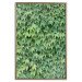 Wall Poster Dense Ivy - botanical composition filled with green leaves 121883 additionalThumb 16