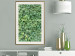 Wall Poster Dense Ivy - botanical composition filled with green leaves 121883 additionalThumb 21