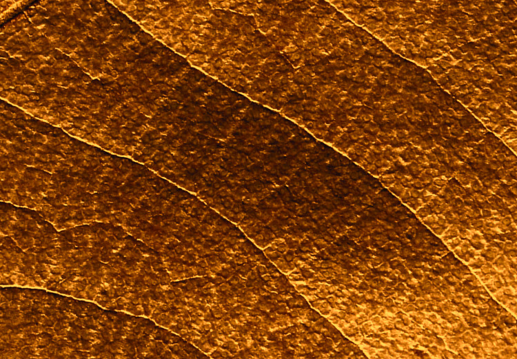 Canvas Print Leaf nerve - a golden colour photograph with a botanical motif 123783 additionalImage 4