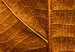Canvas Print Leaf nerve - a golden colour photograph with a botanical motif 123783 additionalThumb 5