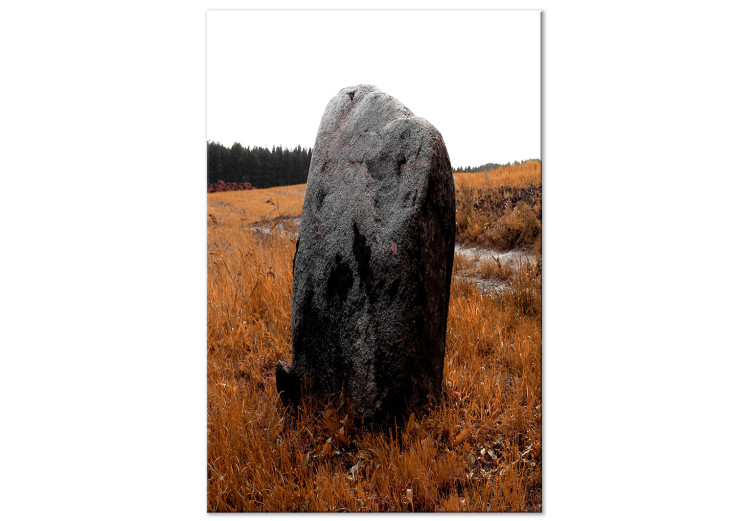 Canvas Print Boulder in the meadow - autumn landscape showing a stone in the field 124383