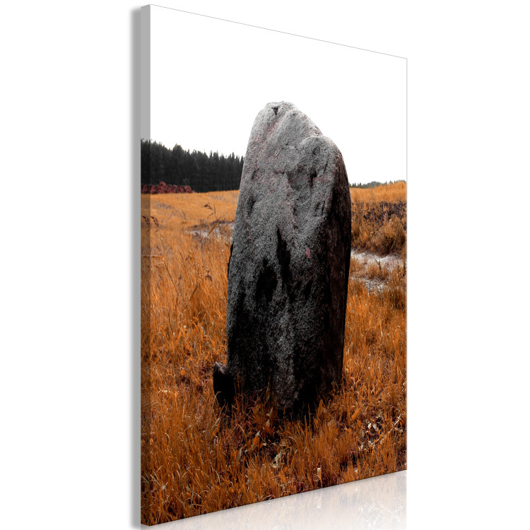 Canvas Print Boulder in the meadow - autumn landscape showing a stone in the field 124383 additionalImage 2