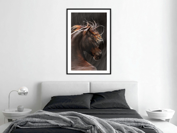 Poster Fiery Wind - portrait of a proud horse with brown fur on a black background 126883 additionalImage 14
