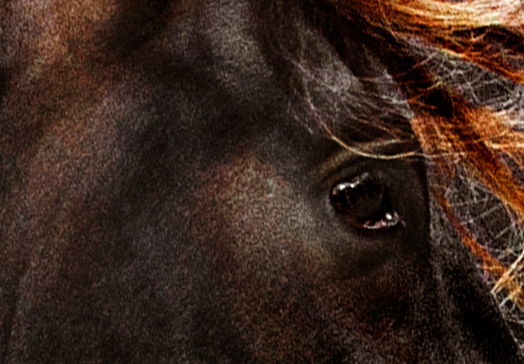 Poster Fiery Wind - portrait of a proud horse with brown fur on a black background 126883 additionalImage 10