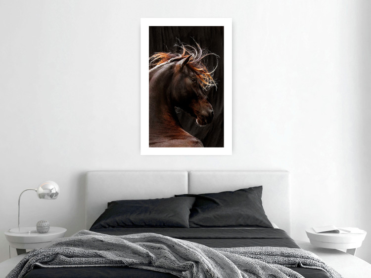 Poster Fiery Wind - portrait of a proud horse with brown fur on a black background 126883 additionalImage 3