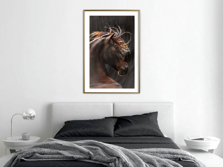 Poster Fiery Wind - portrait of a proud horse with brown fur on a black background 126883 additionalImage 13
