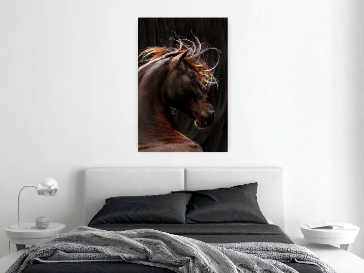 Poster Fiery Wind - portrait of a proud horse with brown fur on a black background 126883 additionalImage 2