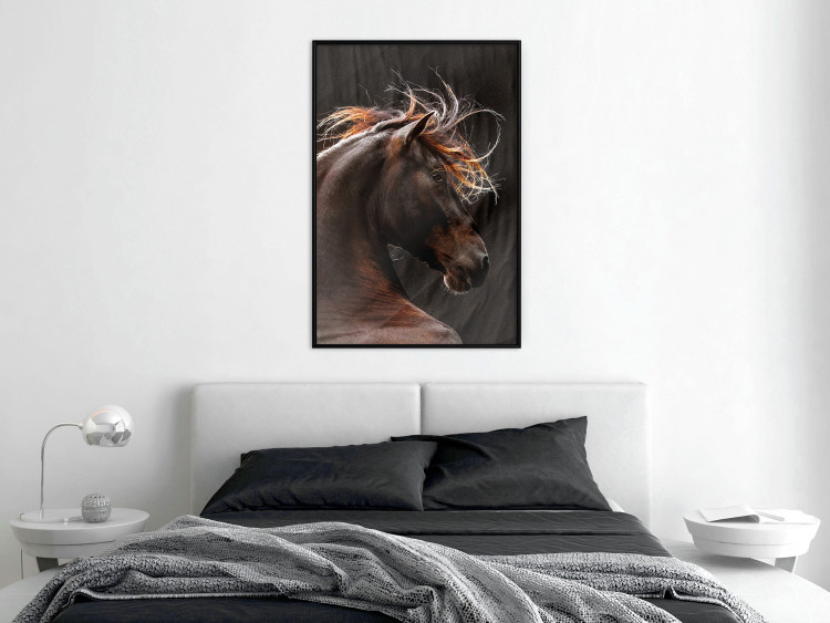 Poster Fiery Wind - portrait of a proud horse with brown fur on a black background 126883 additionalImage 4