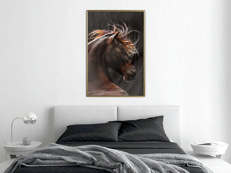 Poster Fiery Wind - portrait of a proud horse with brown fur on a black background 126883 additionalImage 5