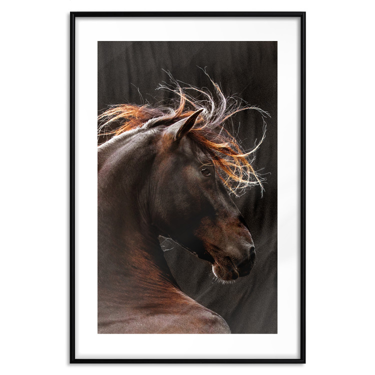 Poster Fiery Wind - portrait of a proud horse with brown fur on a black background 126883 additionalImage 15