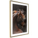 Poster Fiery Wind - portrait of a proud horse with brown fur on a black background 126883 additionalThumb 7