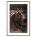 Poster Fiery Wind - portrait of a proud horse with brown fur on a black background 126883 additionalThumb 16