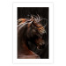 Poster Fiery Wind - portrait of a proud horse with brown fur on a black background 126883 additionalThumb 17